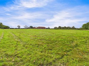 Paddock- click for photo gallery